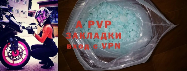 гашик Семилуки
